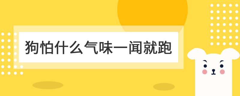 狗怕什么气味一闻就跑