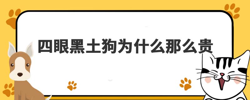 四眼黑土狗为什么那么贵