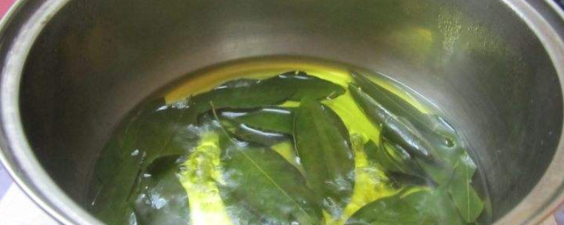 桔子叶子煮水的功效与作用