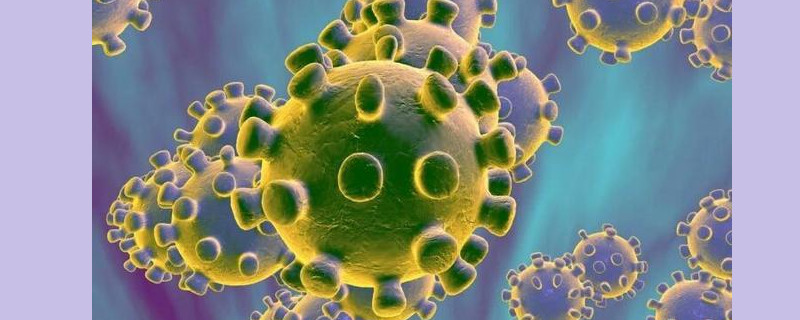 什么是新型冠状病毒