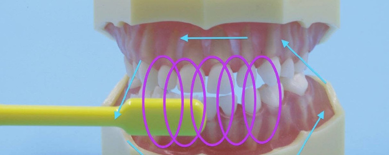 怎么刷牙才是正确的