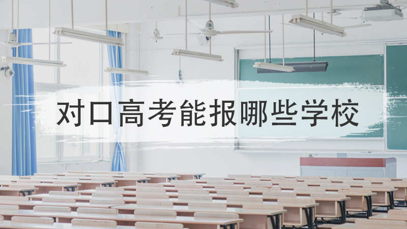 对口高考能报哪些学校