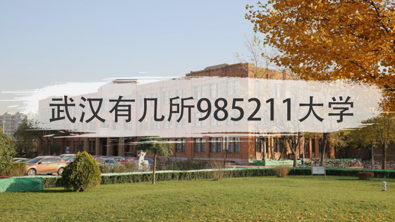 武汉有几所985211大学