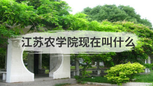 江苏农学院现在叫什么