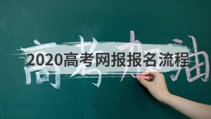 2020高考网报报名流程