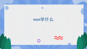 mem学什么