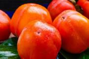 产后哺乳期能吃柿子吗