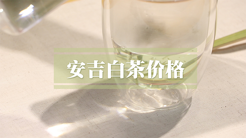 安吉白茶价格