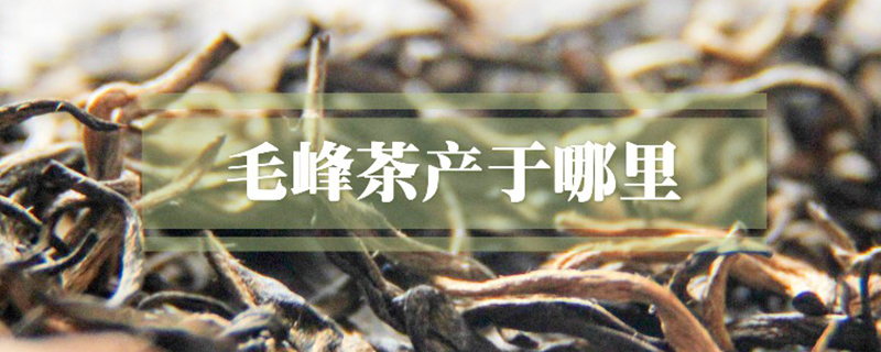 毛峰茶产于哪里