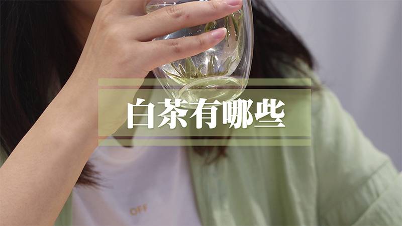 白茶有哪些