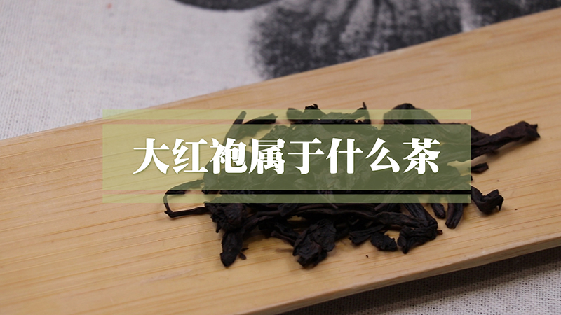 大红袍属于什么茶