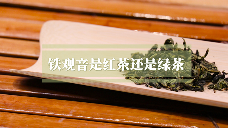 铁观音是红茶还是绿茶