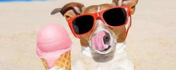 狗可以吃冰淇淋吗？
