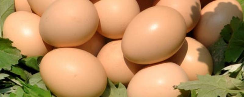 鸡蛋的最佳储存方法夏季
