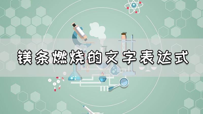 镁条燃烧的文字表达式