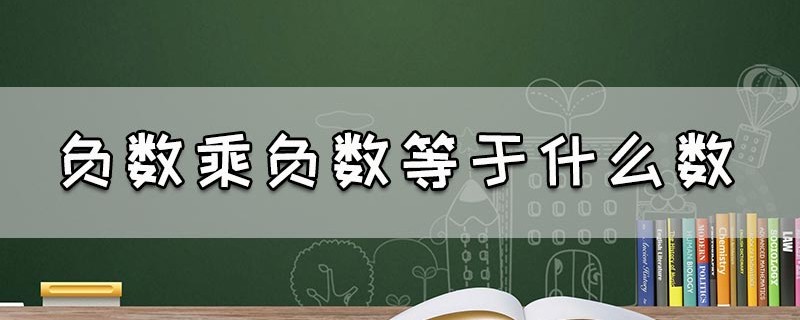 负数乘负数等于什么数