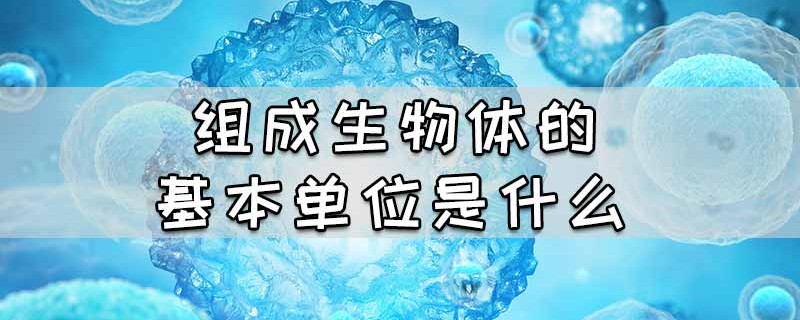 组成生物体的基本单位是什么