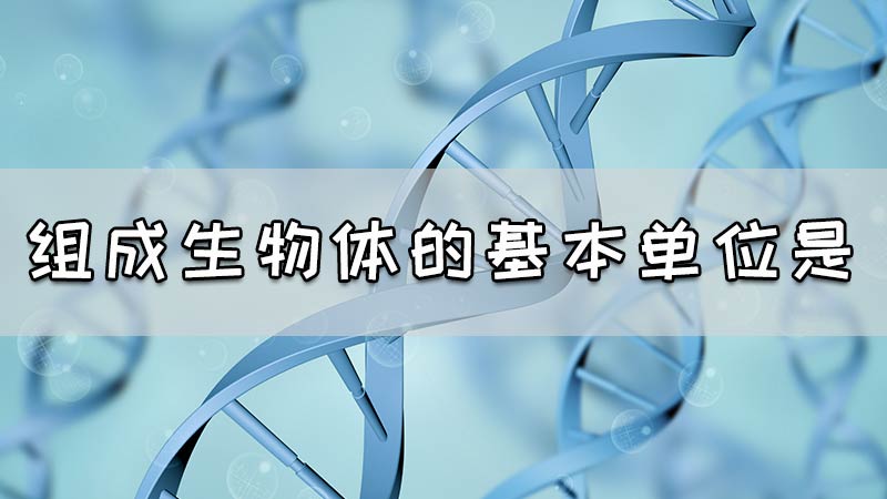 组成生物体的基本单位是