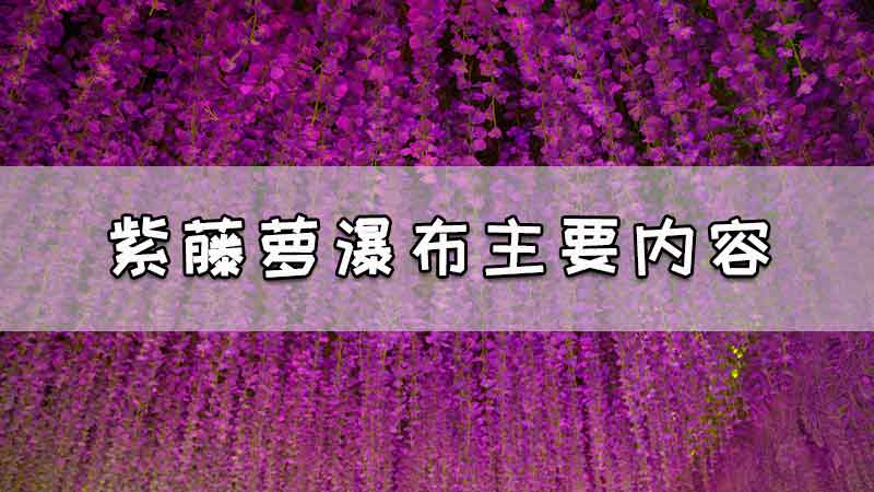 紫藤萝瀑布主要内容