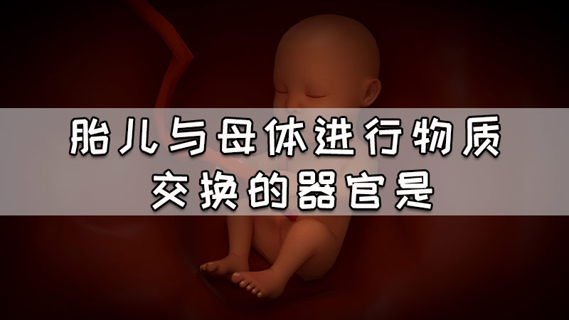 胎儿与母体进行物质交换的器官是