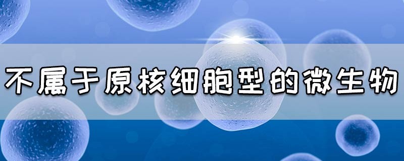 不属于原核细胞型的微生物