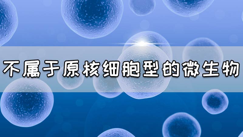 不属于原核细胞型的微生物