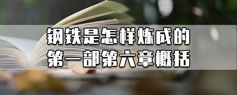 钢铁是怎样炼成的第一部第六章概括