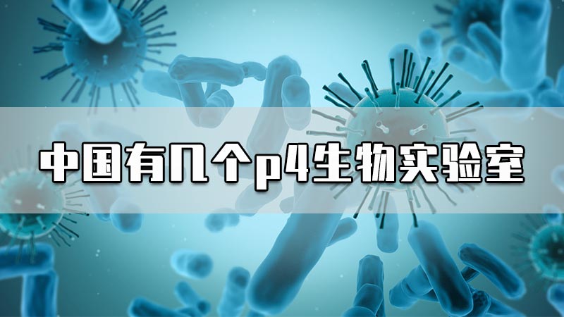 中国有几个p4生物实验室