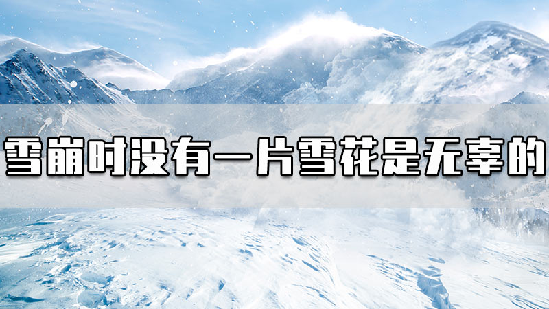 雪崩时没有一片雪花是无辜的