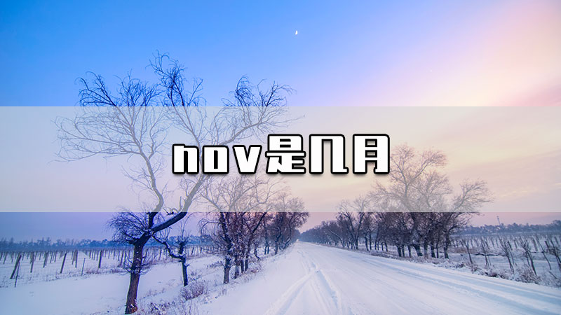 nov是几月