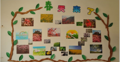 幼儿园主题墙范例