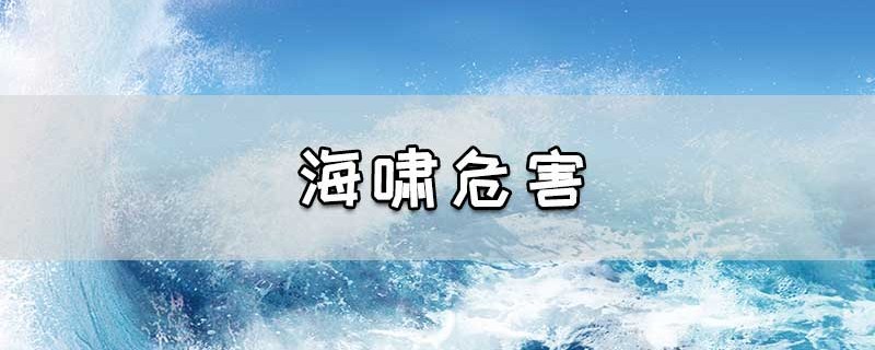 海啸危害