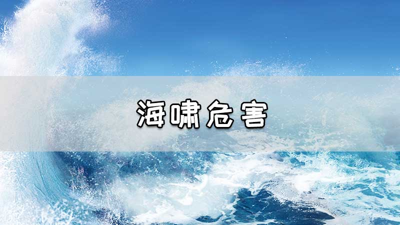 海啸危害