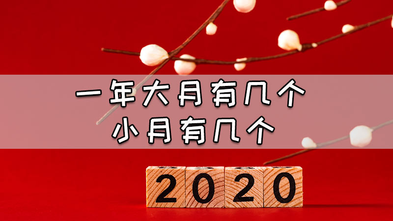 一年大月有几个小月有几个