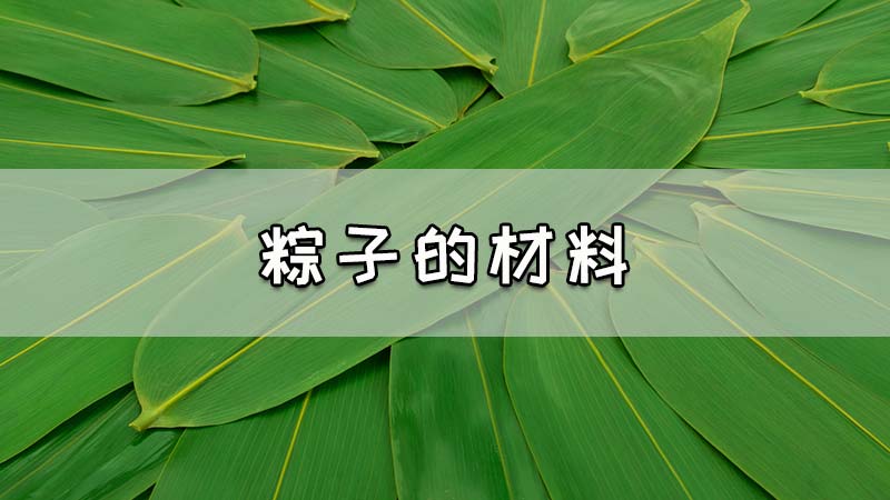 粽子的材料