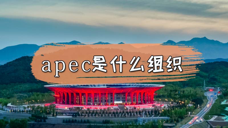 apec是什么组织