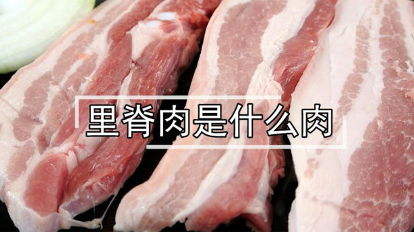 里脊肉是什么肉