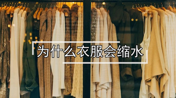 为什么衣服会缩水