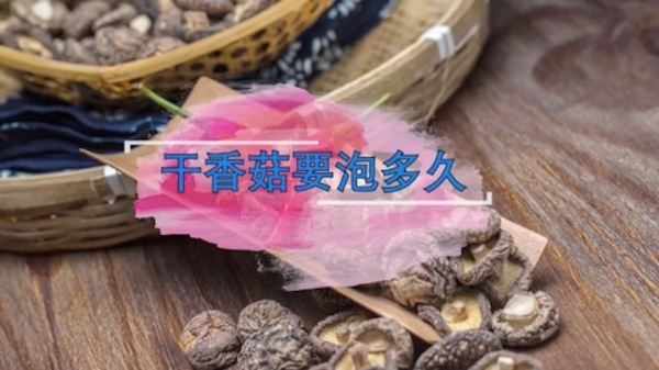 干香菇要泡多久