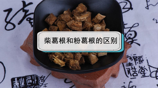 柴葛根和粉葛根的区别