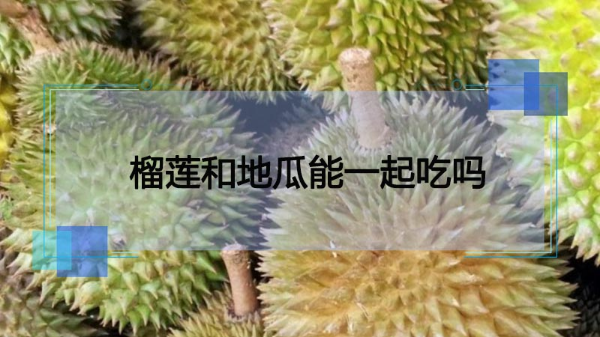 榴莲和地瓜能一起吃吗