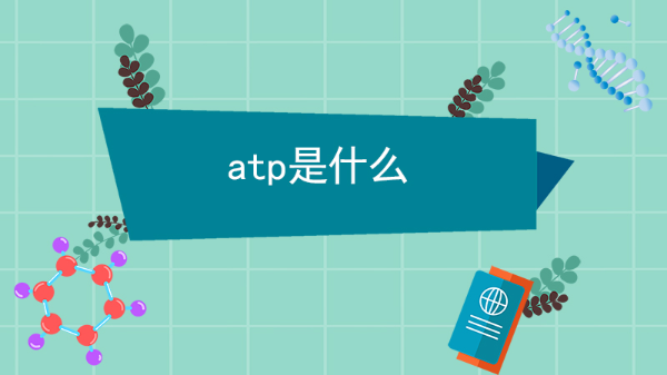 atp是什么