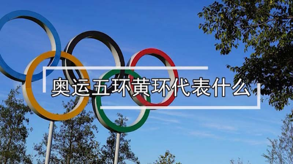 奥运五环黄环代表什么